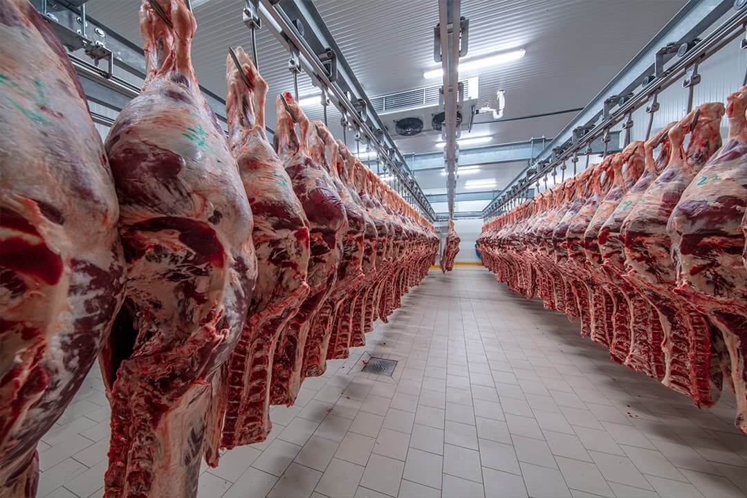 meat-processing-room