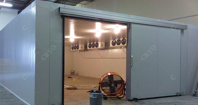 20x10x3.8 meters chiller room for vegetable