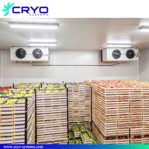 cold storage for fruits