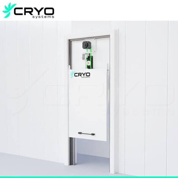 Electric vertical sliding door