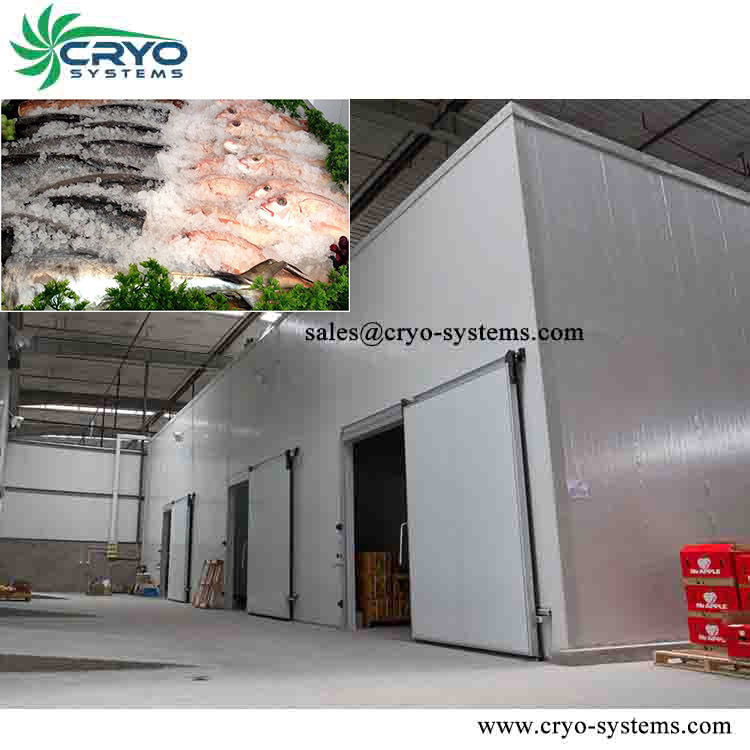 Seafood cold room with professional design