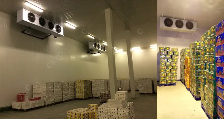 240 tons fruits cold storage