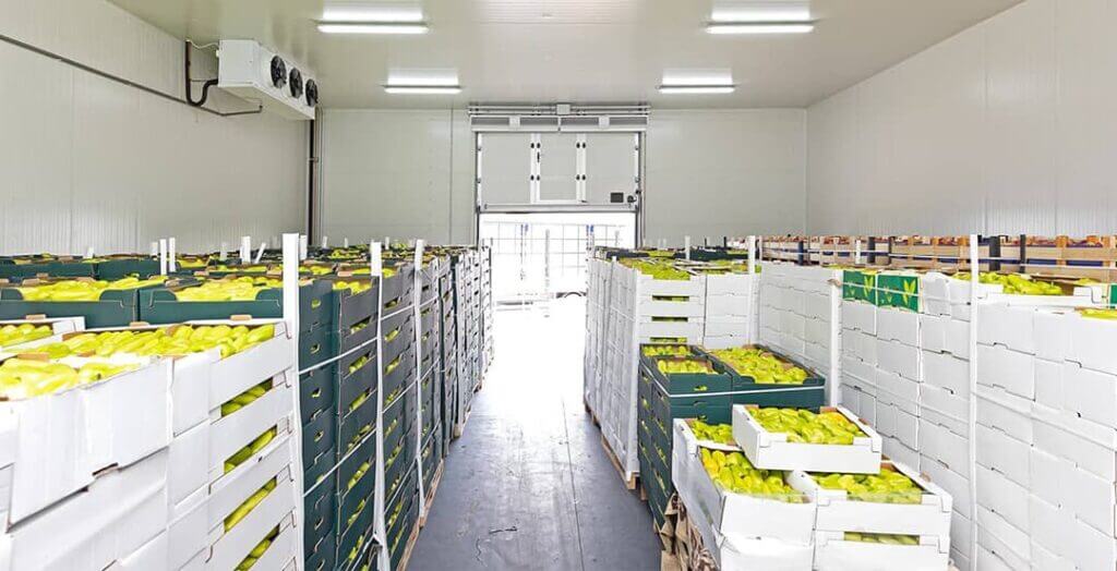 cold storage for fruit