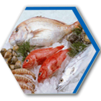 Fish Refrigerated